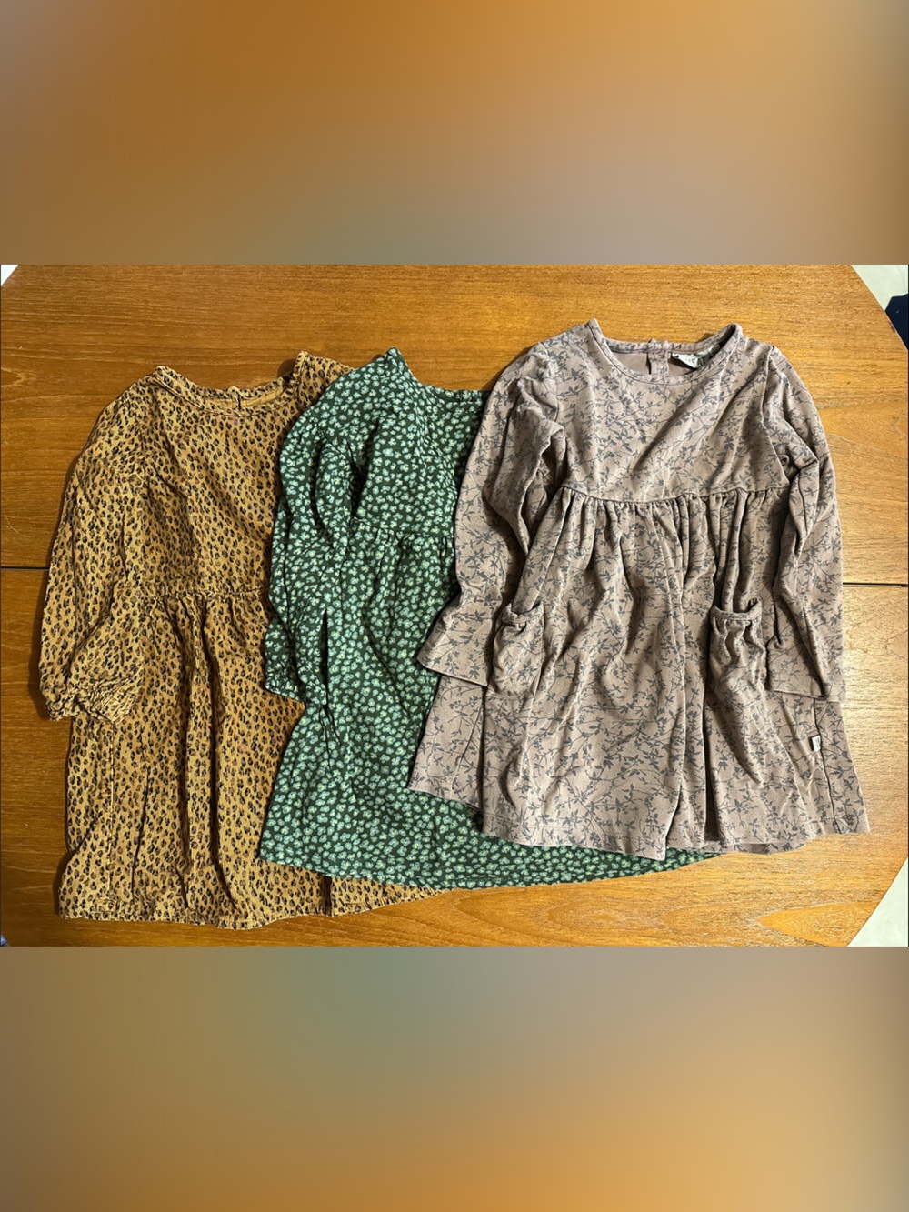 2 GAP Kids Dresses & 1 WHEAT kids dress size 4T